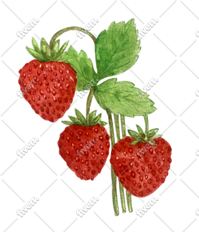 Werkvoorbeeld