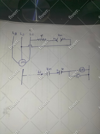 Immagine del campione di lavoro
