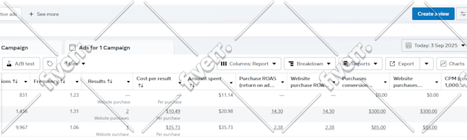 Immagine del campione di lavoro