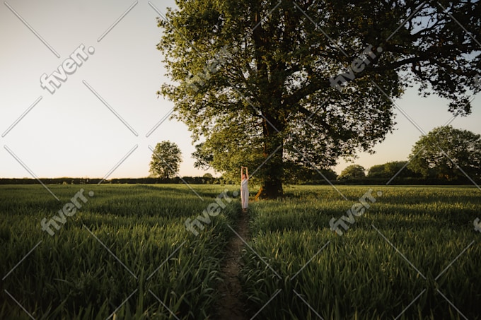 Worksample image