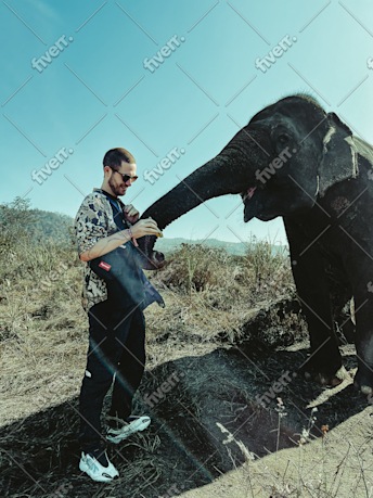 Immagine del campione di lavoro