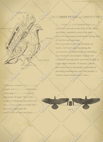 Worksample image