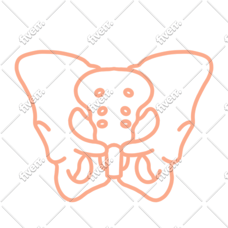 Immagine del campione di lavoro