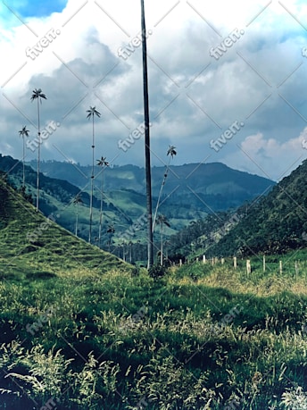 Imagen de muestra de trabajo