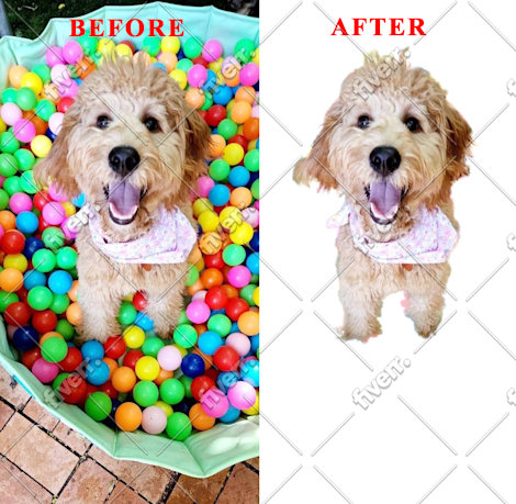 Imagem de amostra