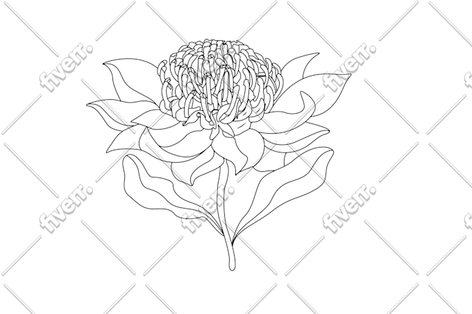 Worksample image