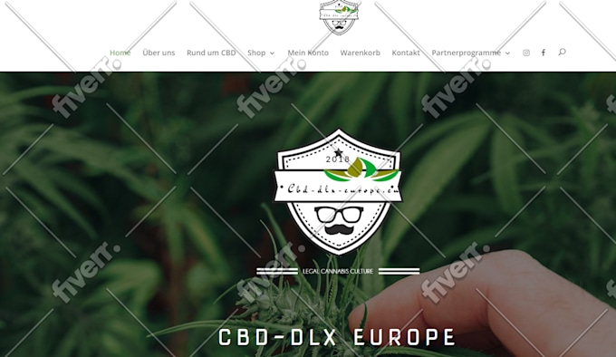 Worksample image