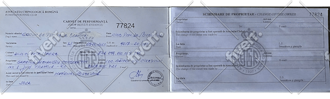 Imagen de muestra de trabajo