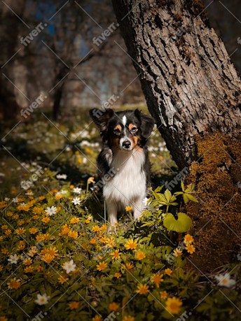 Worksample image