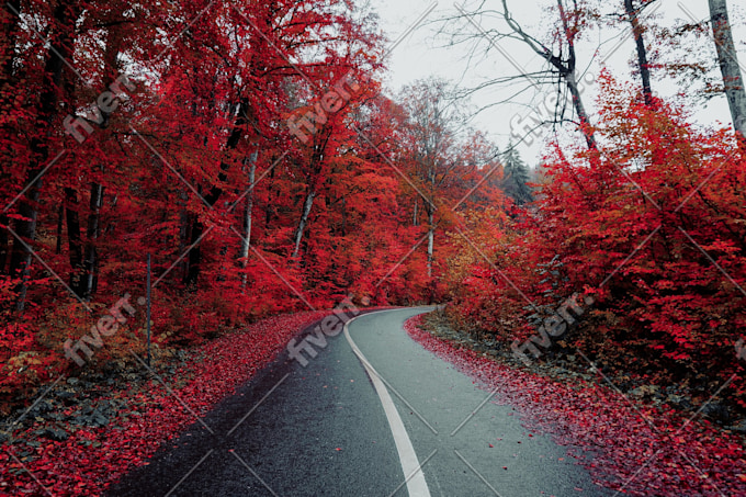 Bild des Arbeitsbeispiels