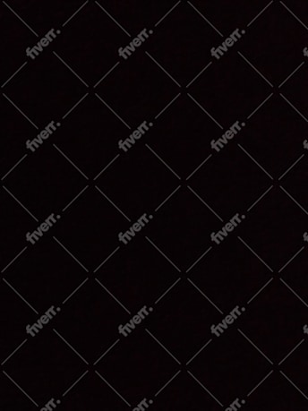 Immagine del campione di lavoro