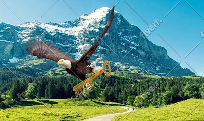 Immagine del campione di lavoro