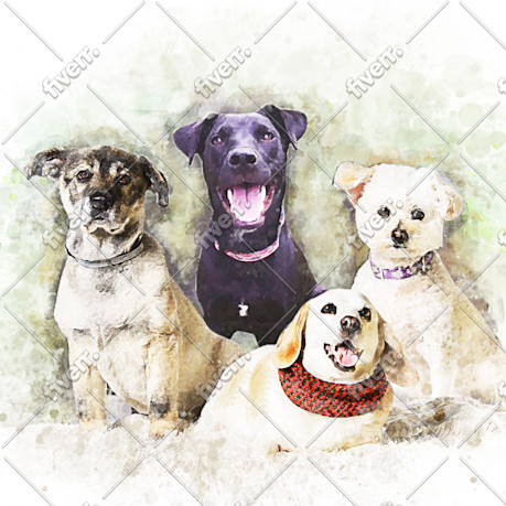Immagine del campione di lavoro