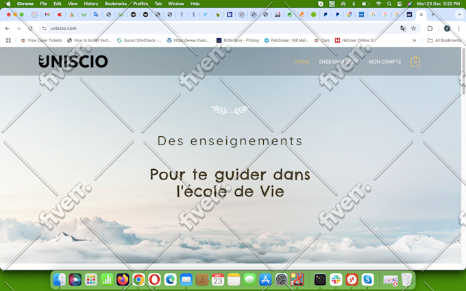 Worksample image