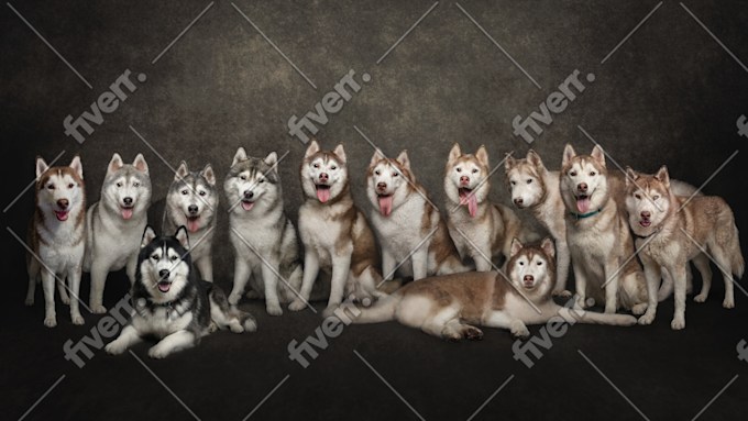 Immagine del campione di lavoro