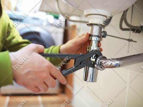 Immagine del campione di lavoro
