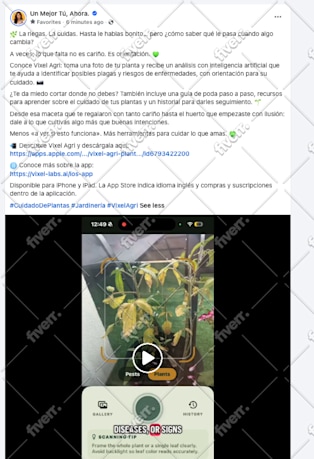 Imagem de amostra
