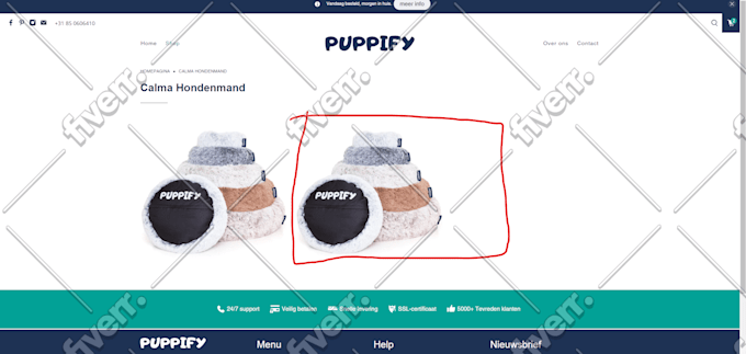 Worksample image