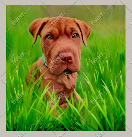 Worksample image