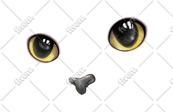 Imagen de muestra de trabajo