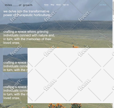 Worksample image