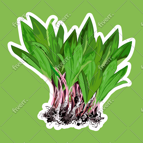 Worksample image