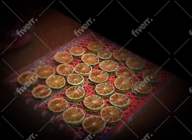 Worksample image
