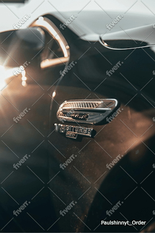 Immagine del campione di lavoro