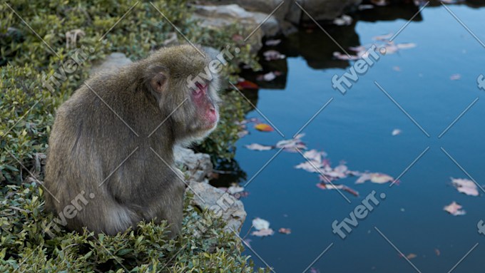 Bild des Arbeitsbeispiels