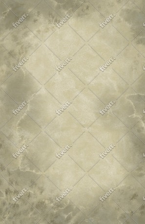 Immagine del campione di lavoro
