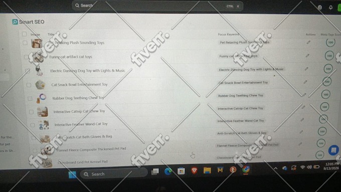 Worksample image