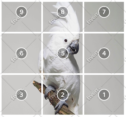 Worksample image