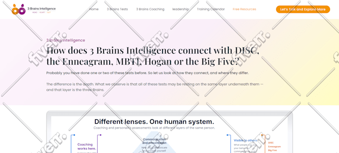 Worksample image