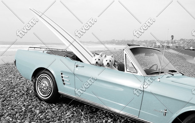 Bild des Arbeitsbeispiels