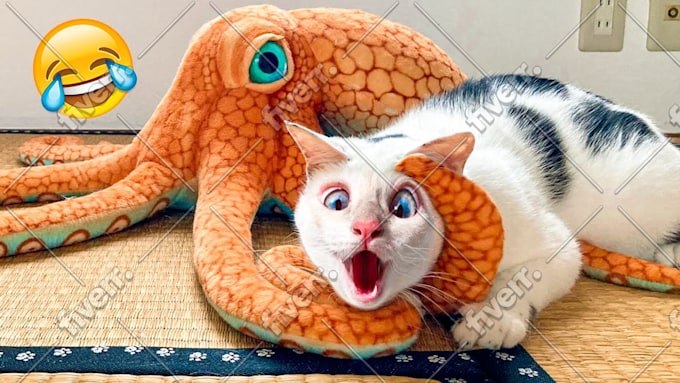Imagem de amostra