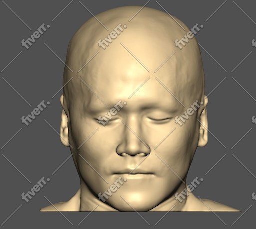 Imagen de muestra de trabajo