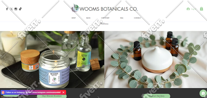 Worksample image