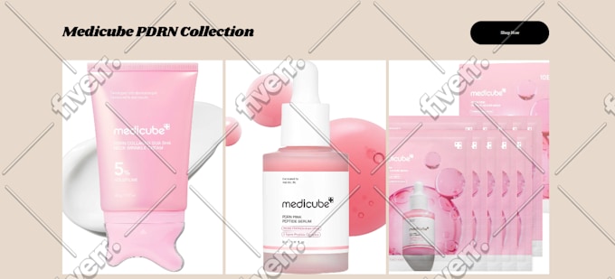 Worksample image