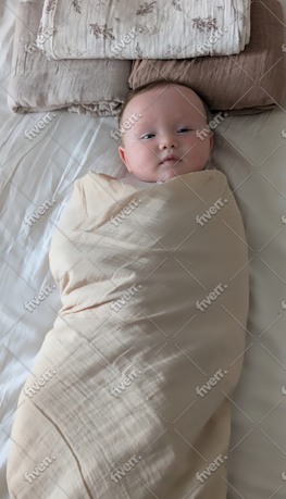 Imagem de amostra