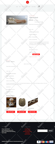 Worksample image