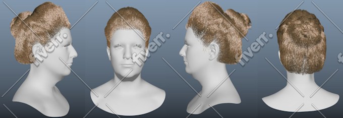 Worksample image