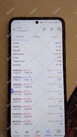 Immagine del campione di lavoro