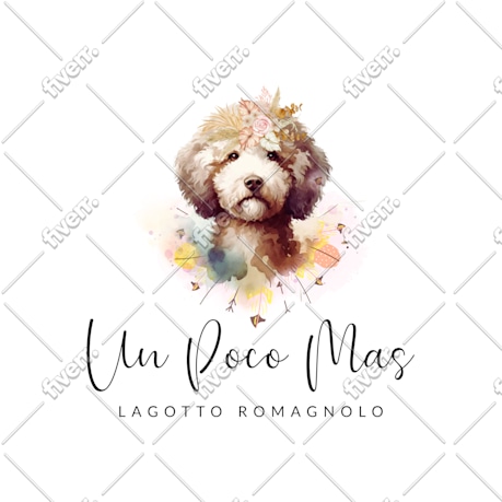 Imagem de amostra
