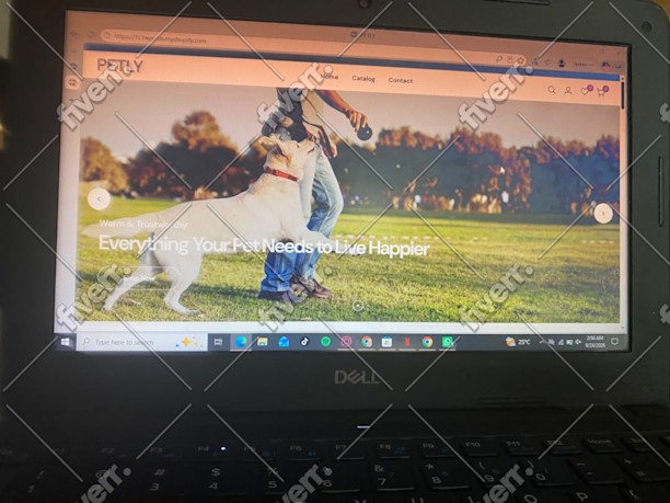 Imagem de amostra