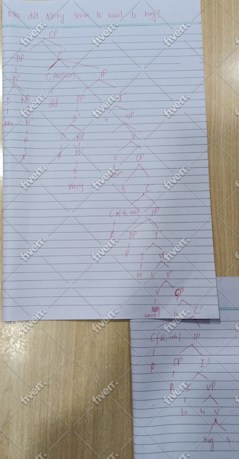 Immagine del campione di lavoro