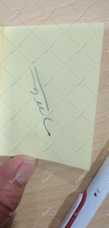 Immagine del campione di lavoro
