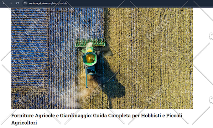 Immagine del campione di lavoro