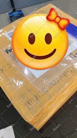 Imagen de muestra de trabajo