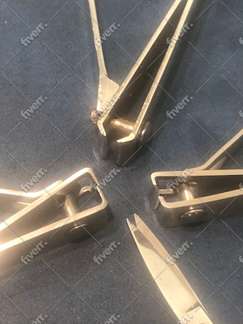 Immagine del campione di lavoro