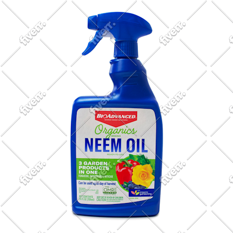 Imagem de amostra